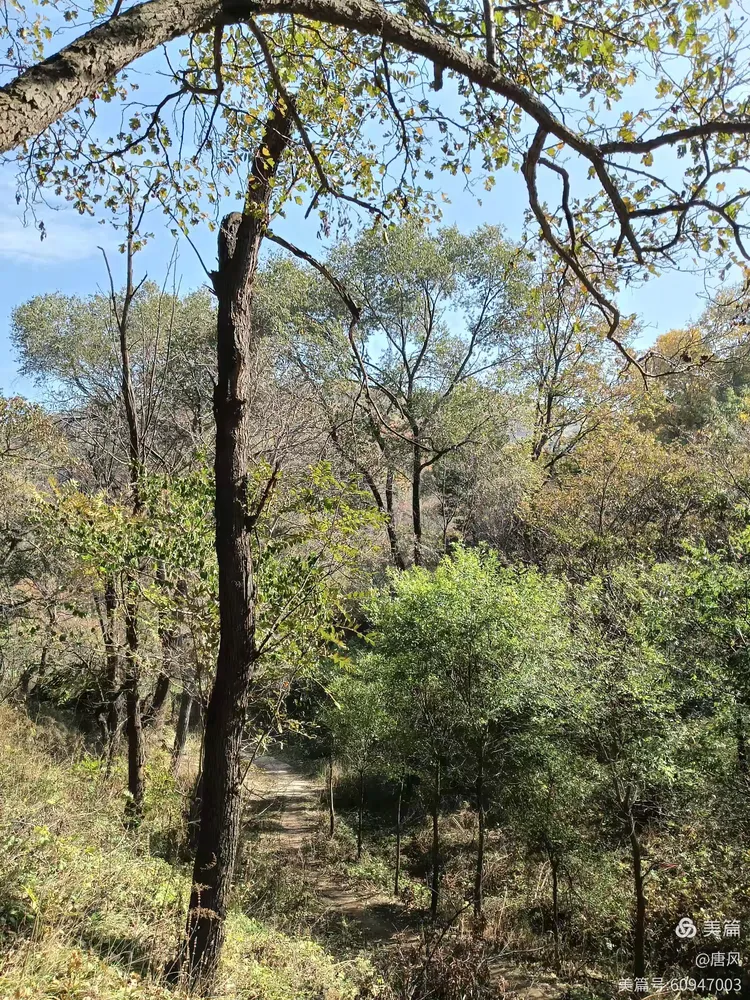 绛县紫家峪印象